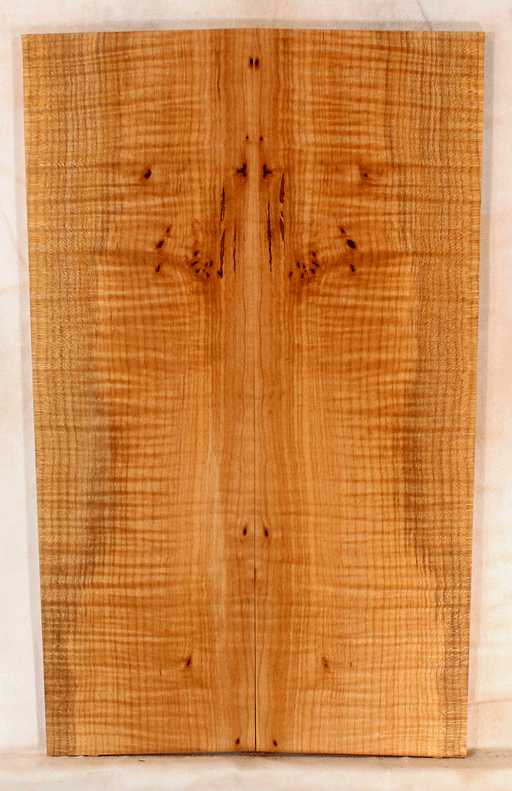 Maple Solid Body Electric Drop Top