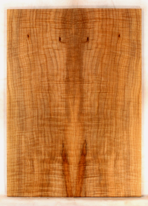 Maple Electric Solid Body Guitar Drop Top