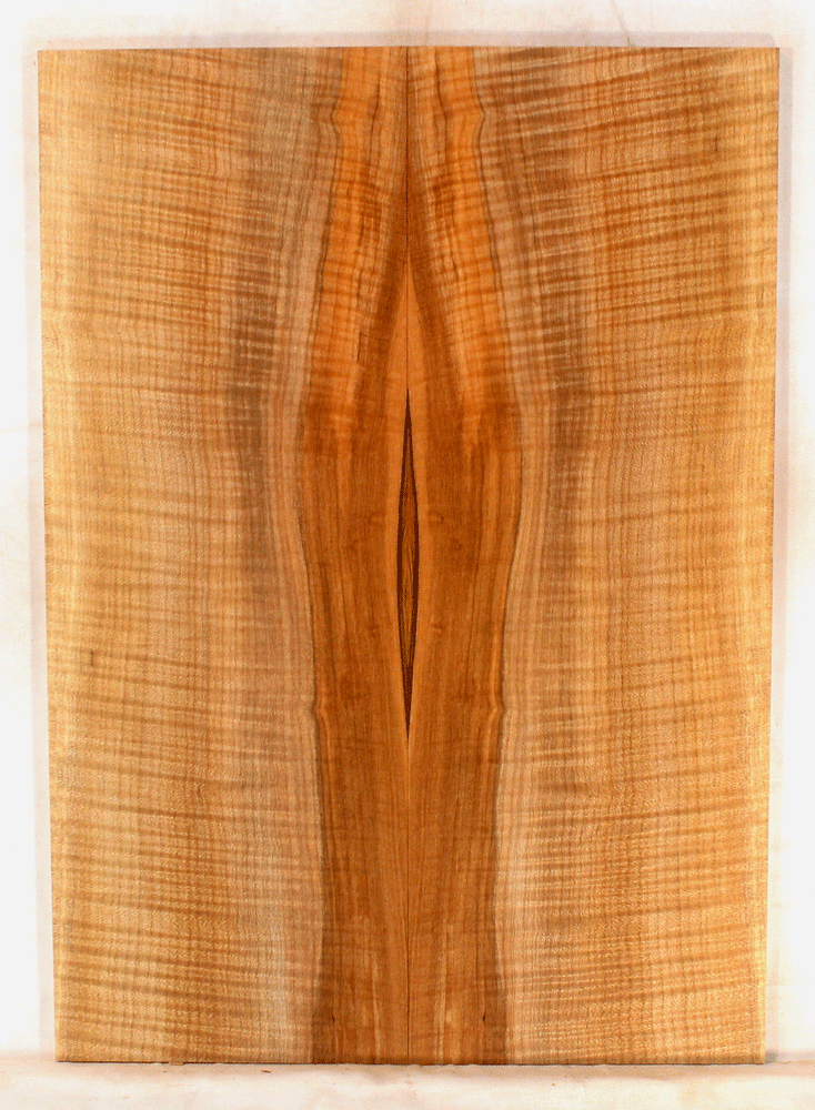 Maple Electric Guitar Drop Top