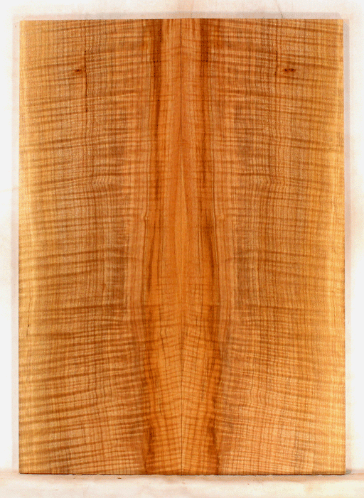 Maple Electric Guitar Drop Top