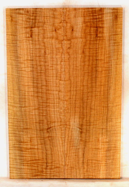 Maple Electric Guitar Drop Top