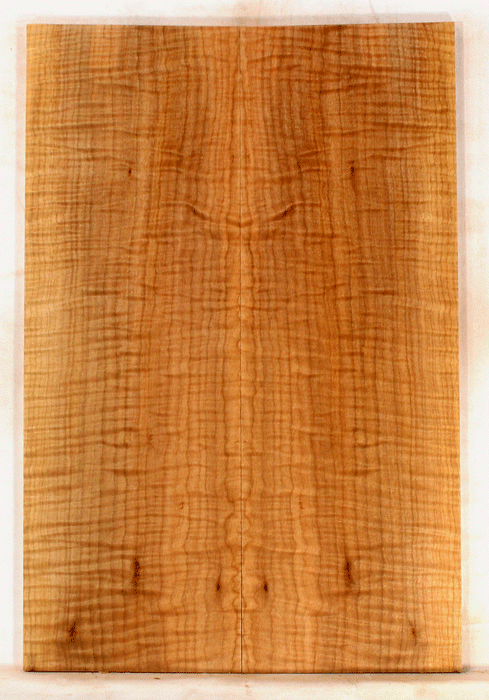 Maple Solid Body Electric Drop Top