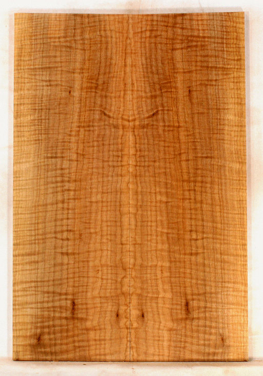 Maple Solid Body Electric Drop Top