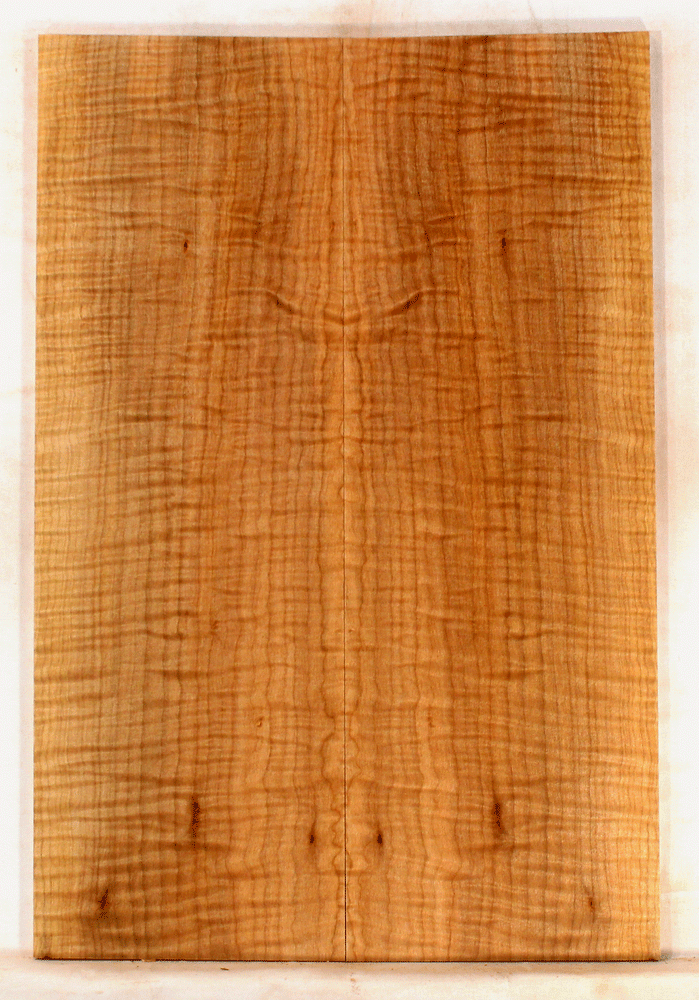 Maple Solid Body Electric Drop Top