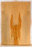 Big Leaf Maple Solid Body Electric Guitar Drop Top, Excellent Color and Contrast, Eco-friendly and Sustainable Guitar Wood, Will Add a Warm and Bright Tone (KK38)