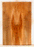 Maple Guitar Drop Top