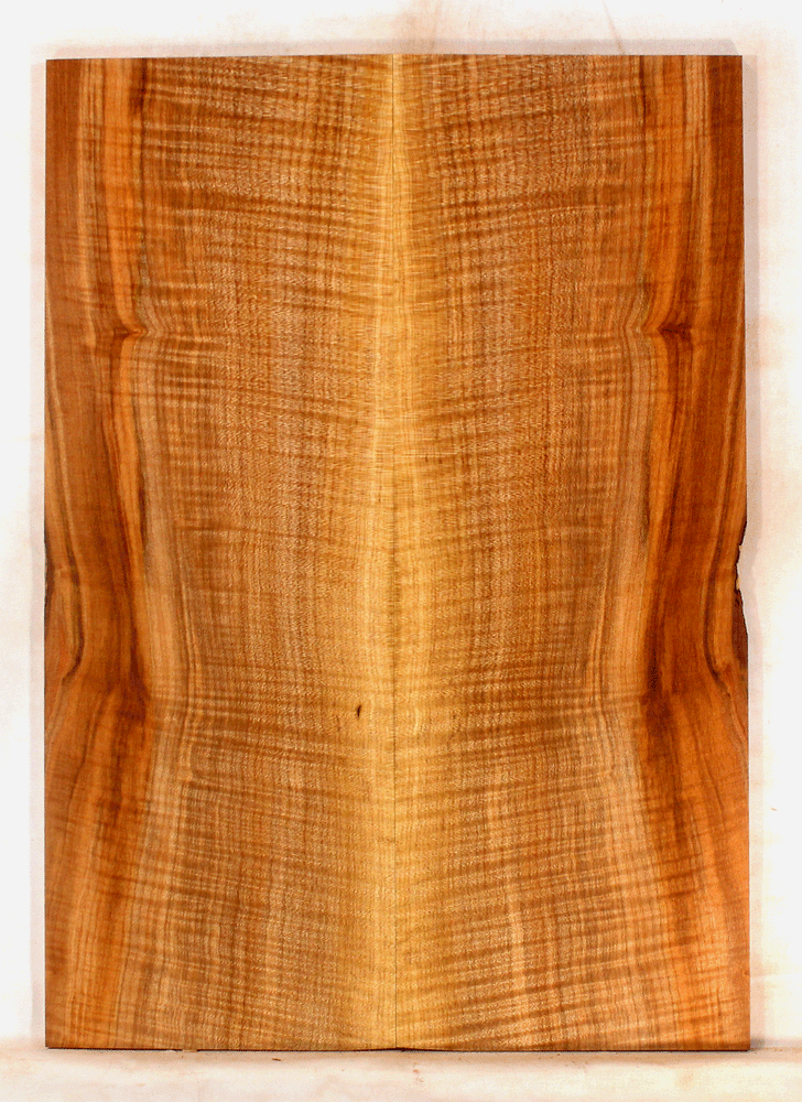 Maple Solid Body Electric Drop Top
