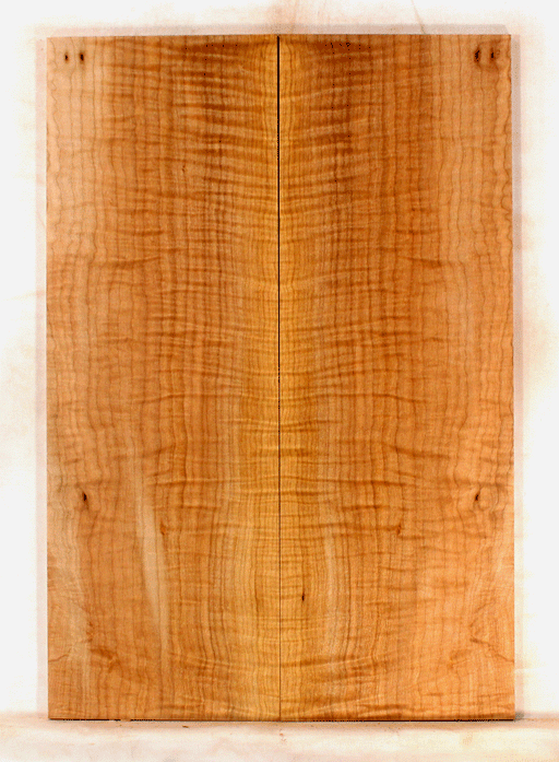 Body/chest Maple Solid Body / Tops / Maple — Wood From the West