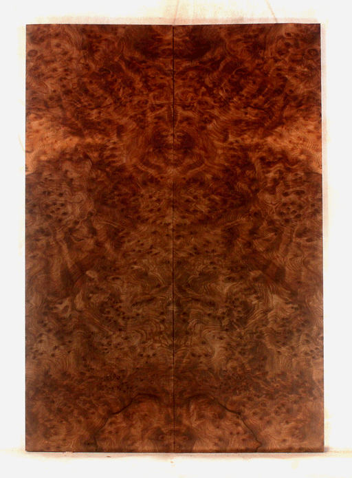 Redwood Electric Guitar Top Birdseye