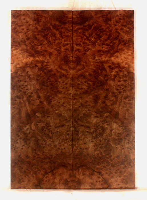 Redwood Electric Guitar Top Birdseye