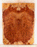 Redwood Solid Body Electric Guitar Drop Top