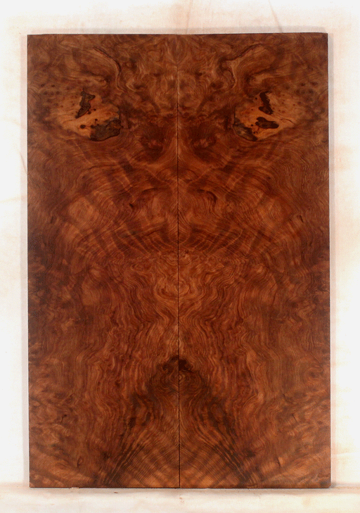 Redwood Solid Body Electric Drop Top
