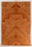 Redwood Solid Body Electric Guitar Droptop, Salvaged Old Growth from 1890’s and 1900’s, Eco-friendly, Outstanding Figure (KK53)