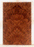 Redwood Electric Guitar Drop Top