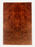 Redwood Solid Body Electric Guitar Drop Top