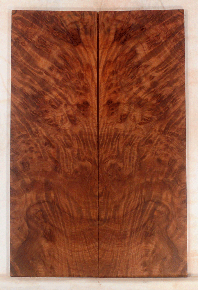 Redwood Solid Body Electric Drop Top