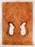 Redwood Solid Body Electric Guitar Droptop, Salvaged Old Growth from 1890’s and 1900’s, Eco-friendly, Beautiful Birdseye Figure (KK77)
