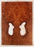 Redwood Solid Body Drop Top