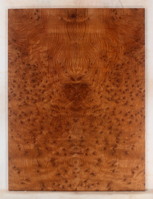 Redwood Solid Body Electric Guitar Drop Top