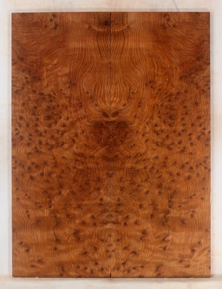 Redwood Solid Body Electric Guitar Drop Top