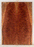 Redwood Guitar Drop Top