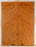 Redwood Solid Body Electric Guitar Droptop, Salvaged Old Growth from 1890’s and 1900’s, Eco-friendly, Beautiful Birdseye Figure (KK95)