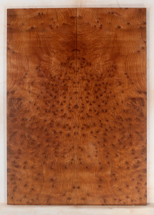 Redwood Electric Guitar Drop Top