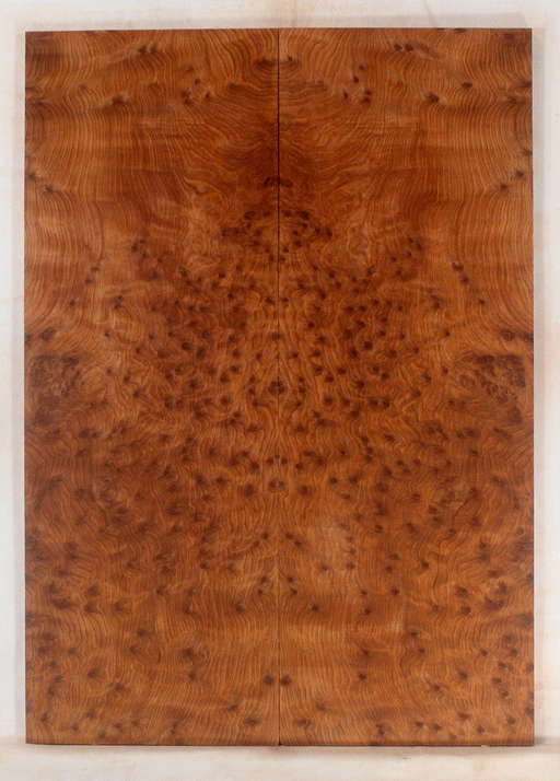 Redwood Electric Guitar Drop Top