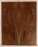 Claro Walnut Electric Solid Body Drop Top, Add Color, Contrast, and Figure of Claro Walnut to Your Guitar (KK98)