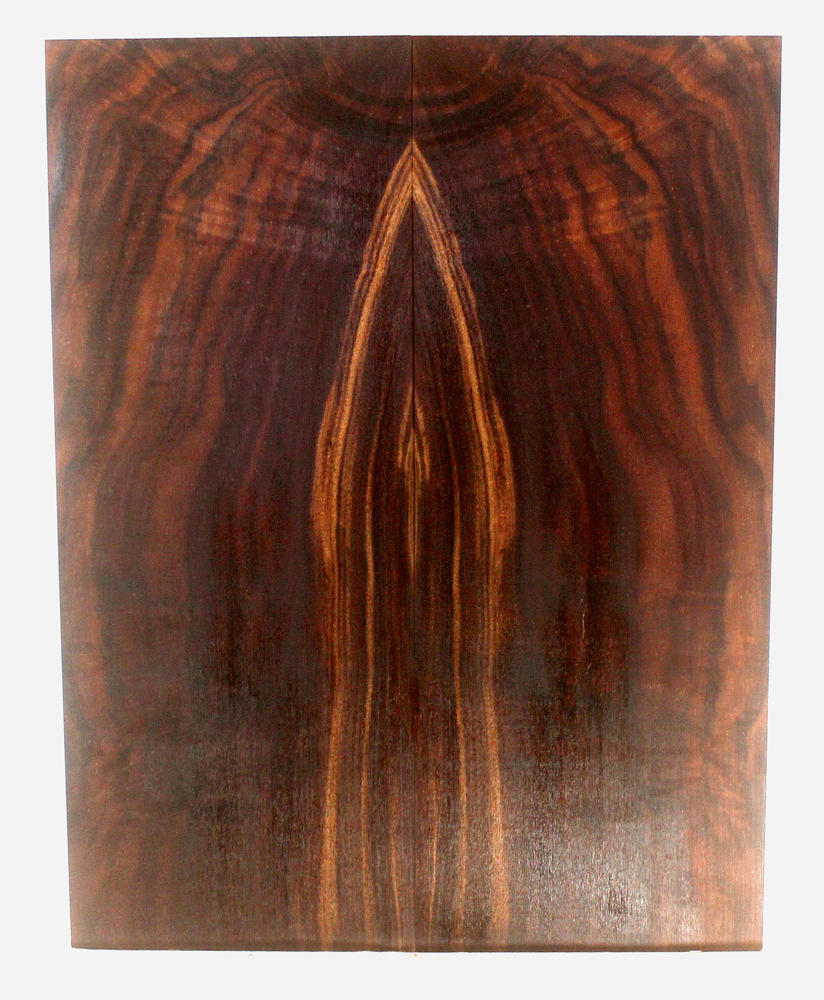 Claro Walnut Electric Guitar Drop Top