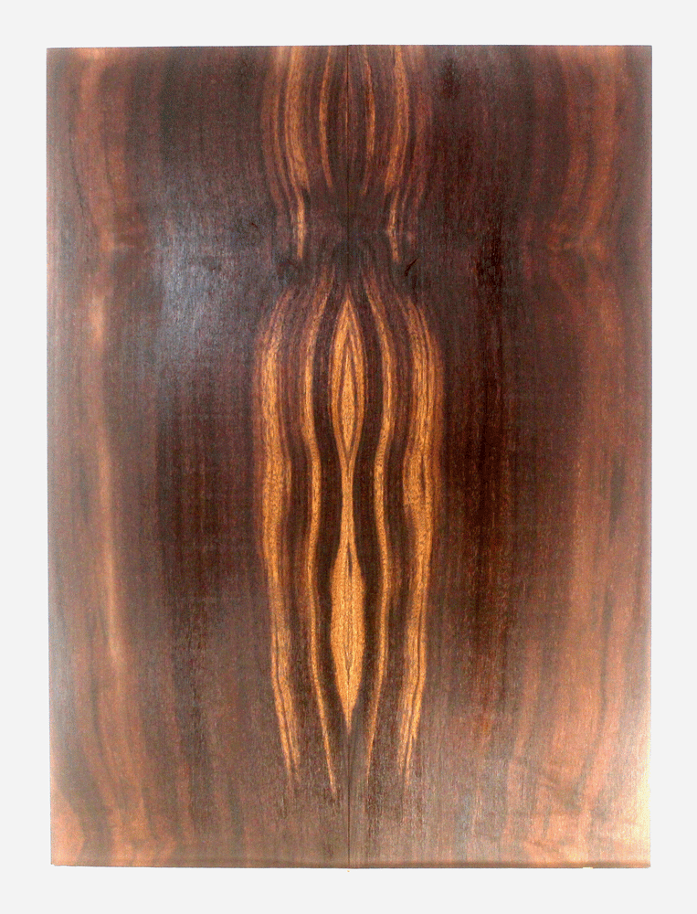 Claro Walnut Electric Guitar Drop Top