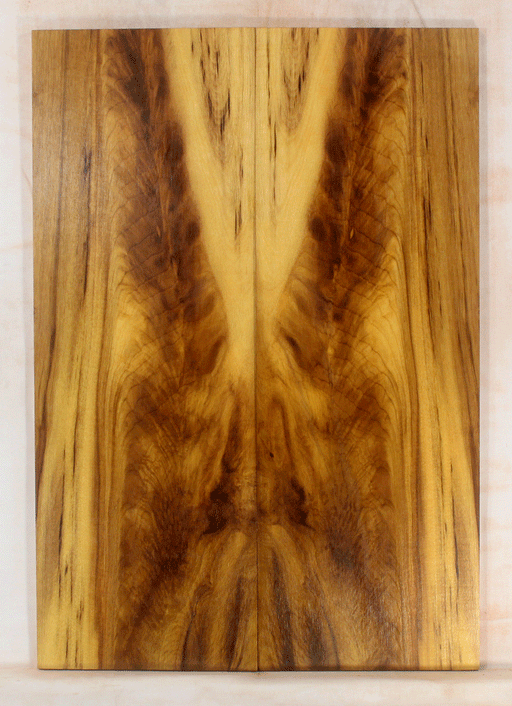Myrtle Electric Guitar Droptop