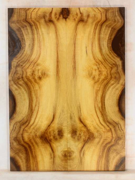 Myrtle Electric Solid Body Guitar Droptop