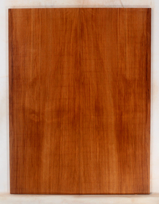 Redwood Solid Body Electric Guitar Top