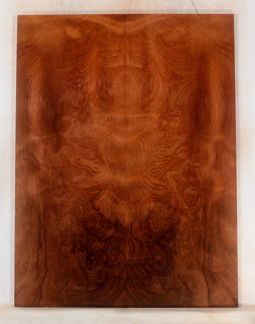 Redwood Electric Guitar Droptop