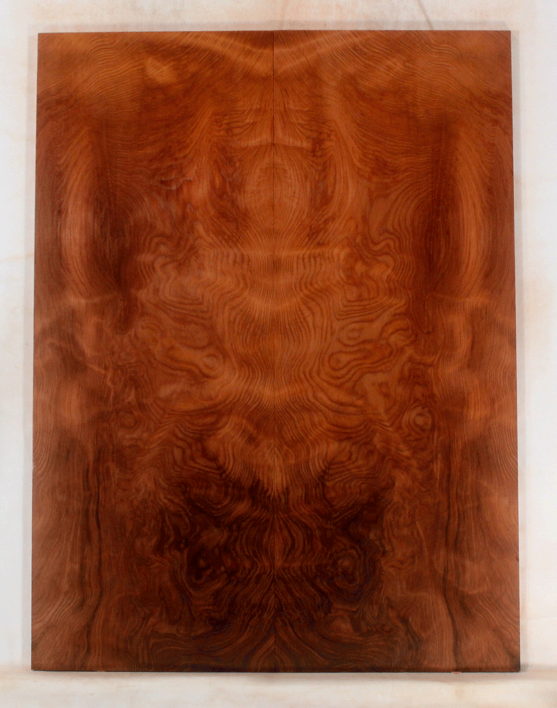 Redwood Electric Guitar Droptop
