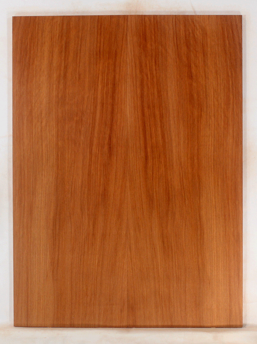 Redwood Electric Guitar Droptop
