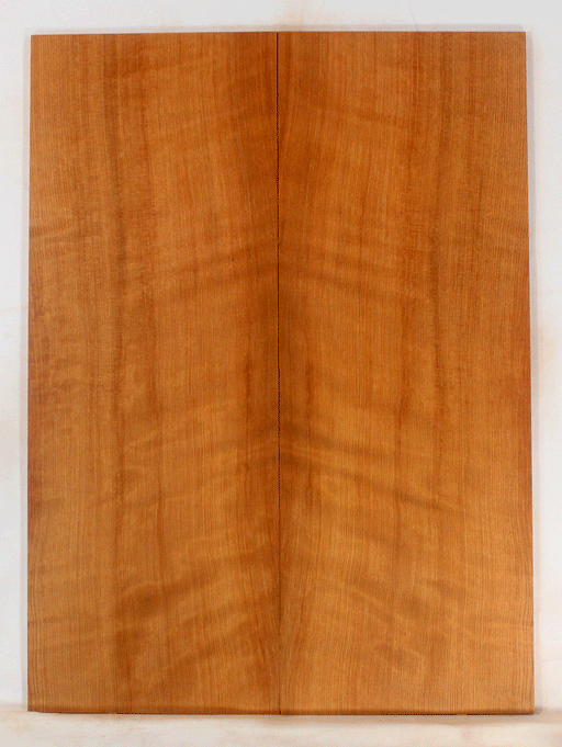 Redwood Soundboard Dreadnought Size Warm and Bright Tones