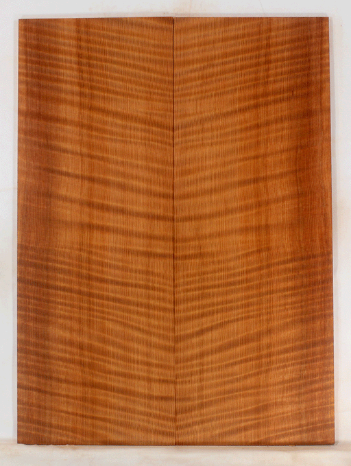 Redwood Soundboard Dreadnought Size