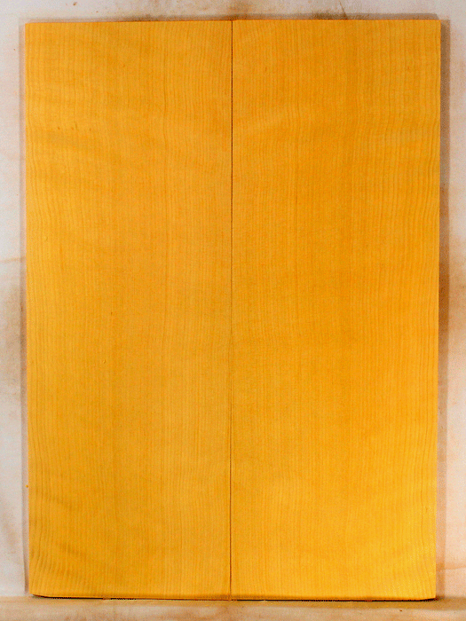 Port Orford Cedar Acoustic Guitar Soundboard Dreadnought Size, Bright and Expressive Sound, Eco-Friendly, Sustainable Guitar Wood  (KM43)