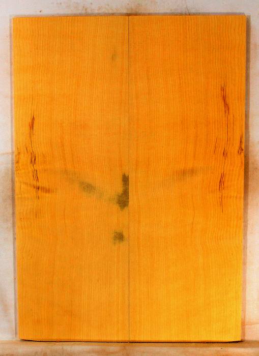 Port Orford Cedar Acoustic Guitar Soundboard Dreadnought Size, Bright and Expressive Sound, Eco-Friendly, Sustainable Guitar Wood  (KM61)