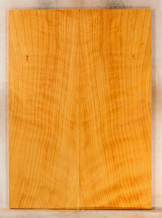 Port Orford Cedar Solid Body Guitar Top