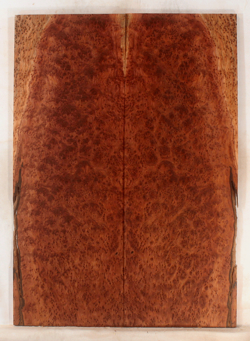 Redwood Electric Guitar Drop Top