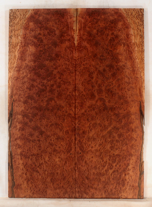 Redwood Electric Guitar Drop Top