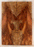Redwood Guitar Drop Top