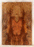 Redwood Solid Body Electric Guitar Drop Top