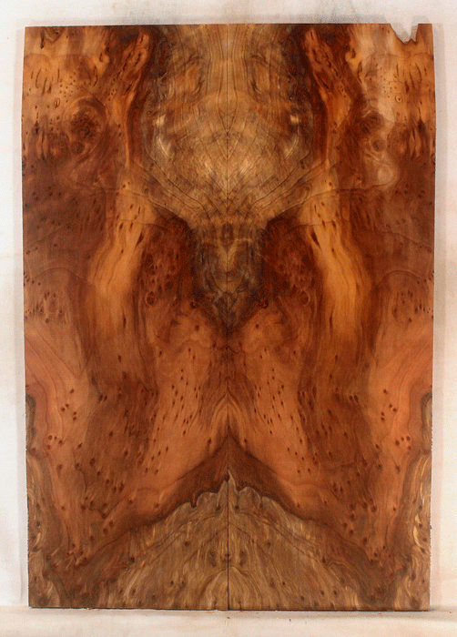 Redwood Electric Guitar Drop Top