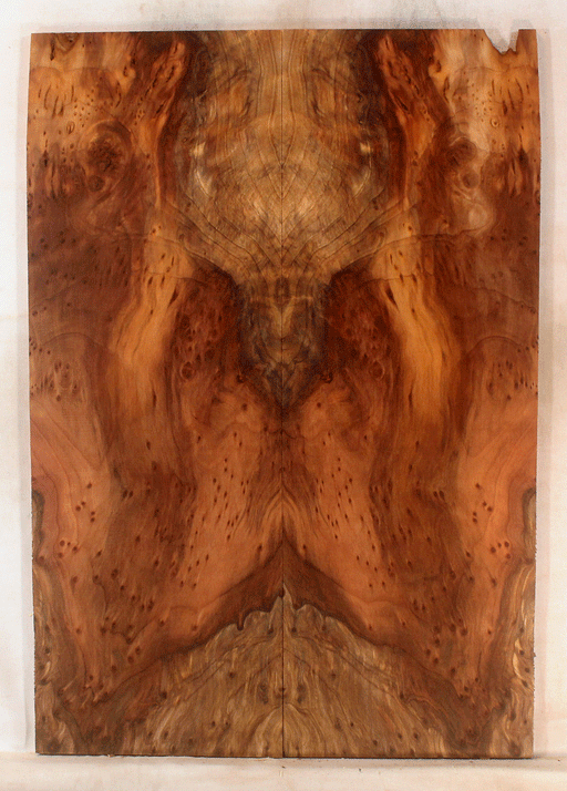 Redwood Electric Guitar Drop Top