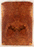 Redwood Guitar Drop Top