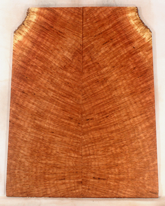 Redwood Solid Body Electric Guitar Drop Top